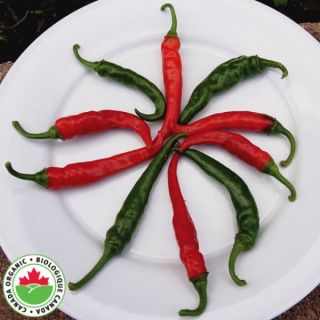 Ring of Fire Organic Pepper Thumbnail